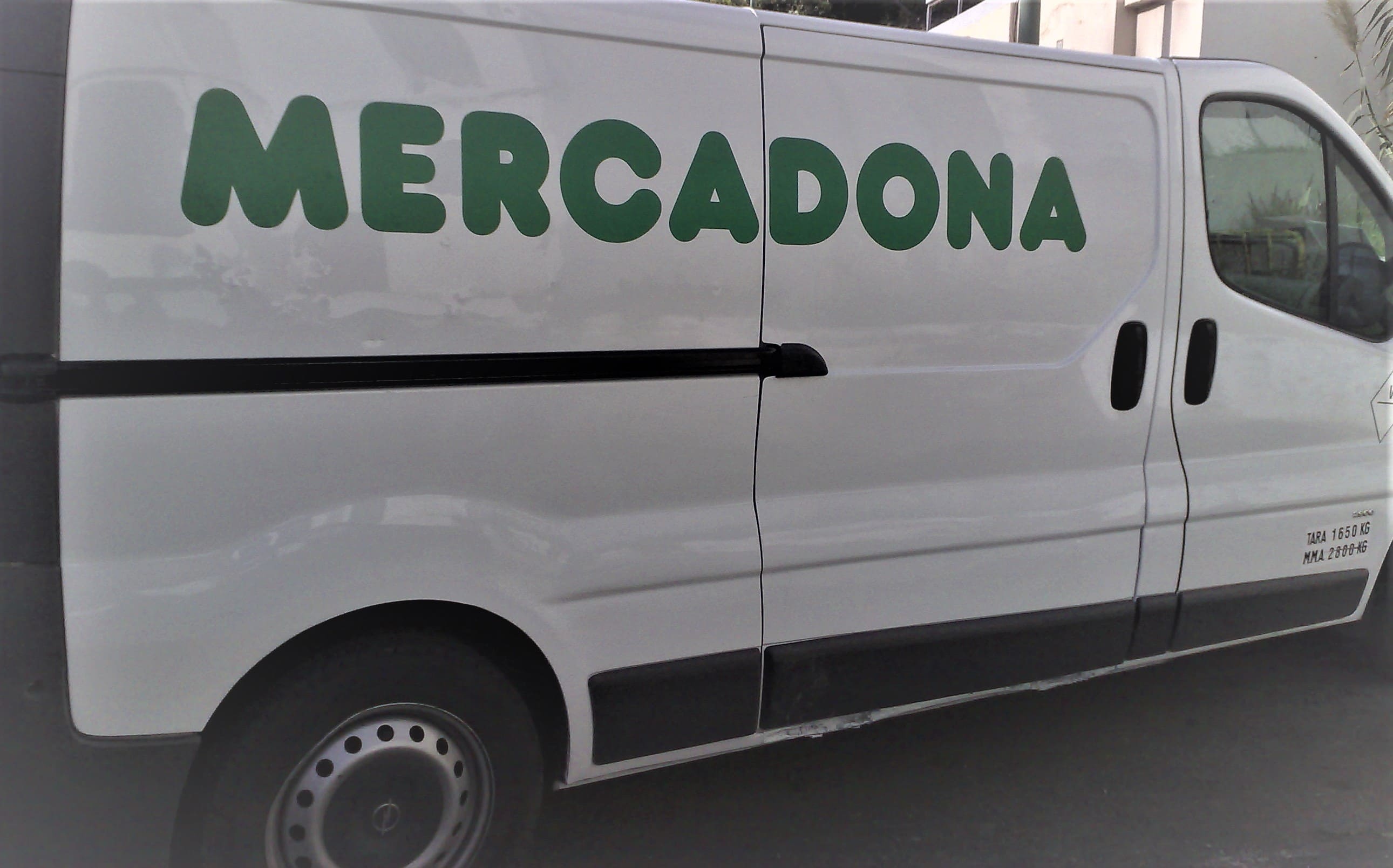 VEHICULOS3.jpg